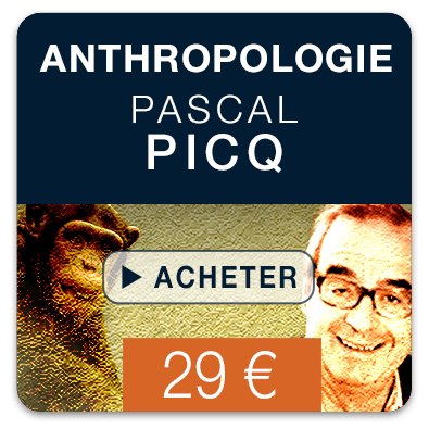 Anthropologie - Pascal Picq - 4 vidéos